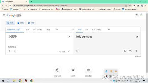 中國英文翻譯|Google Translate